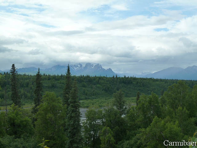 www.carmibaer.de_reisebericht_alaska-247.jpg www.carmibaer.de_reisebericht_alaska-247.jpg
