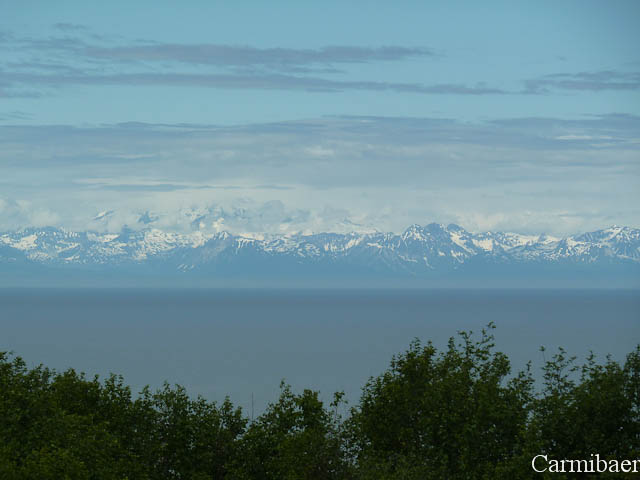 www.carmibaer.de_reisebericht_alaska-345.jpg www.carmibaer.de_reisebericht_alaska-345.jpg