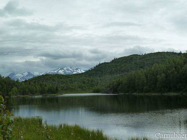 www.carmibaer.de_reisebericht_alaska-407.jpg www.carmibaer.de_reisebericht_alaska-407.jpg