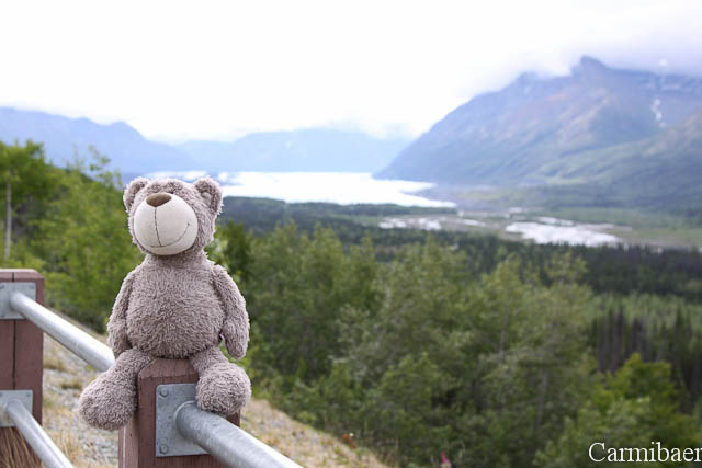 www.carmibaer.de_reisebericht_alaska-668.jpg www.carmibaer.de_reisebericht_alaska-668.jpg