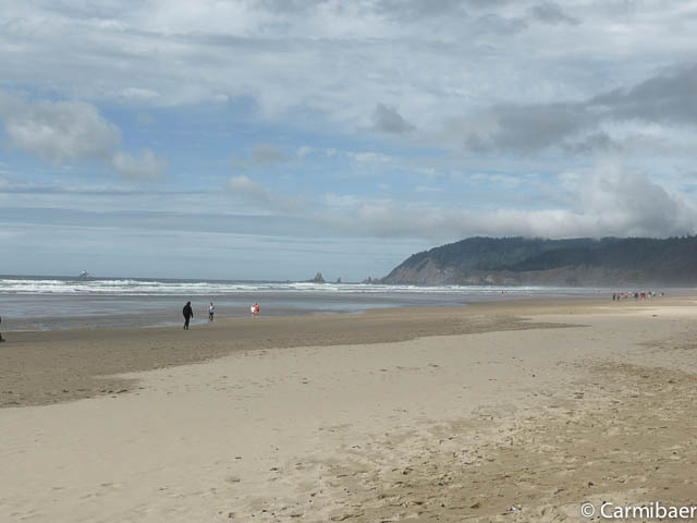 www.carmibaer.de_reisebericht_usa2015-1029.jpg www.carmibaer.de_reisebericht_usa2015-1029.jpg