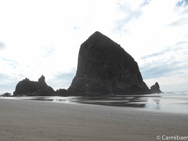 www.carmibaer.de_reisebericht_usa2015-1032.jpg www.carmibaer.de_reisebericht_usa2015-1032.jpg