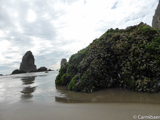 www.carmibaer.de_reisebericht_usa2015-1040.jpg www.carmibaer.de_reisebericht_usa2015-1040.jpg
