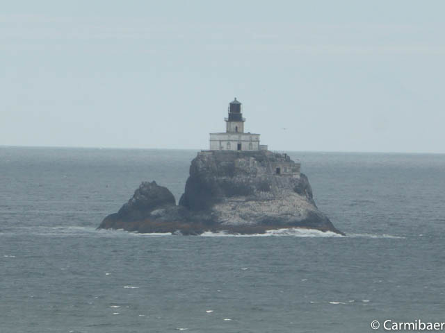 www.carmibaer.de_reisebericht_usa2015-1056.jpg www.carmibaer.de_reisebericht_usa2015-1056.jpg