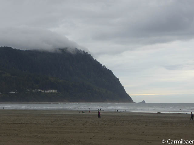 www.carmibaer.de_reisebericht_usa2015-1065.jpg www.carmibaer.de_reisebericht_usa2015-1065.jpg