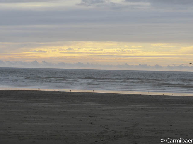www.carmibaer.de_reisebericht_usa2015-1067.jpg www.carmibaer.de_reisebericht_usa2015-1067.jpg