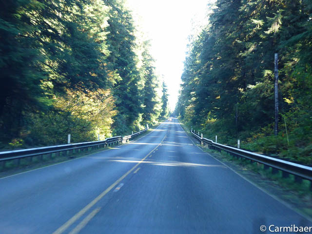 www.carmibaer.de_reisebericht_usa2015-1148.jpg www.carmibaer.de_reisebericht_usa2015-1148.jpg