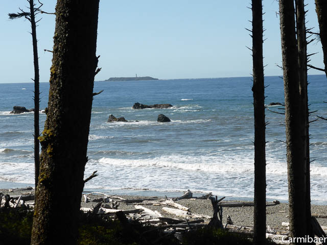 www.carmibaer.de_reisebericht_usa2015-1187.jpg www.carmibaer.de_reisebericht_usa2015-1187.jpg