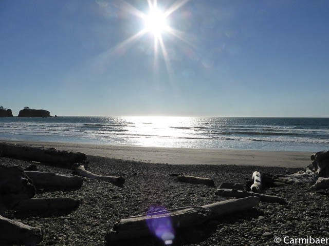 www.carmibaer.de_reisebericht_usa2015-1229.jpg www.carmibaer.de_reisebericht_usa2015-1229.jpg