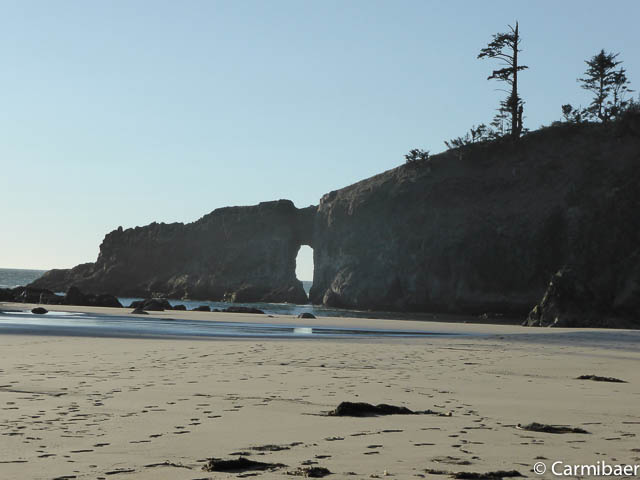www.carmibaer.de_reisebericht_usa2015-1235.jpg www.carmibaer.de_reisebericht_usa2015-1235.jpg