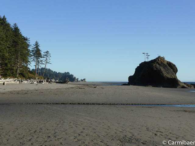 www.carmibaer.de_reisebericht_usa2015-1238.jpg www.carmibaer.de_reisebericht_usa2015-1238.jpg
