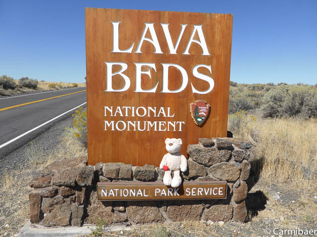 www.carmibaer.de_reisebericht_usa2015-608.jpg www.carmibaer.de_reisebericht_usa2015-608.jpg
