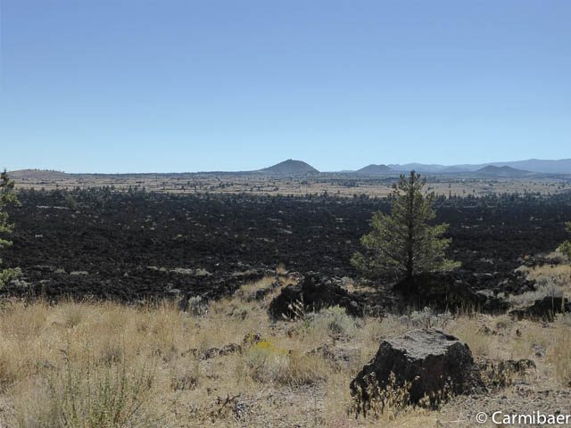 www.carmibaer.de_reisebericht_usa2015-609.jpg www.carmibaer.de_reisebericht_usa2015-609.jpg