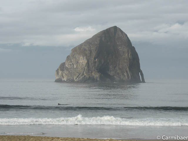 www.carmibaer.de_reisebericht_usa2015-987.jpg www.carmibaer.de_reisebericht_usa2015-987.jpg