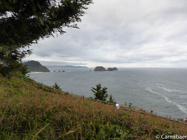 www.carmibaer.de_reisebericht_usa2015-995.jpg www.carmibaer.de_reisebericht_usa2015-995.jpg