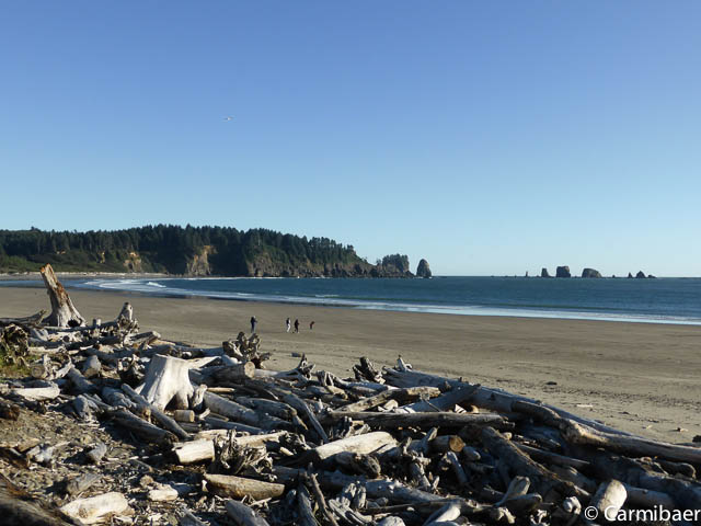 www.carmibaer.de_reisebericht_usa2015-1233.jpg www.carmibaer.de_reisebericht_usa2015-1233.jpg