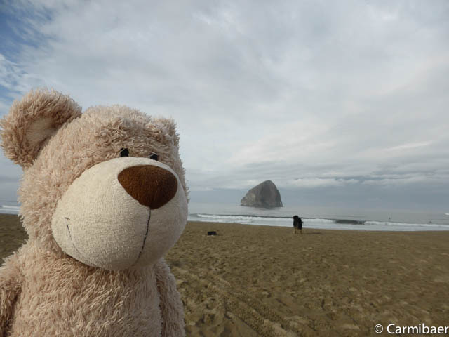 www.carmibaer.de_reisebericht_usa2015-989.jpg www.carmibaer.de_reisebericht_usa2015-989.jpg
