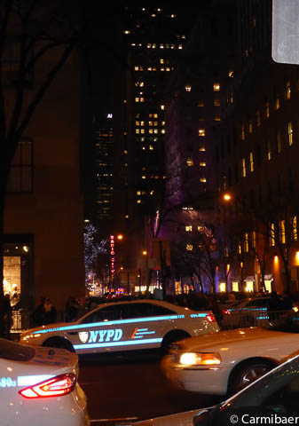 www.carmibaer.de_reisebericht_nyc2013c-675.jpg www.carmibaer.de_reisebericht_nyc2013c-675.jpg